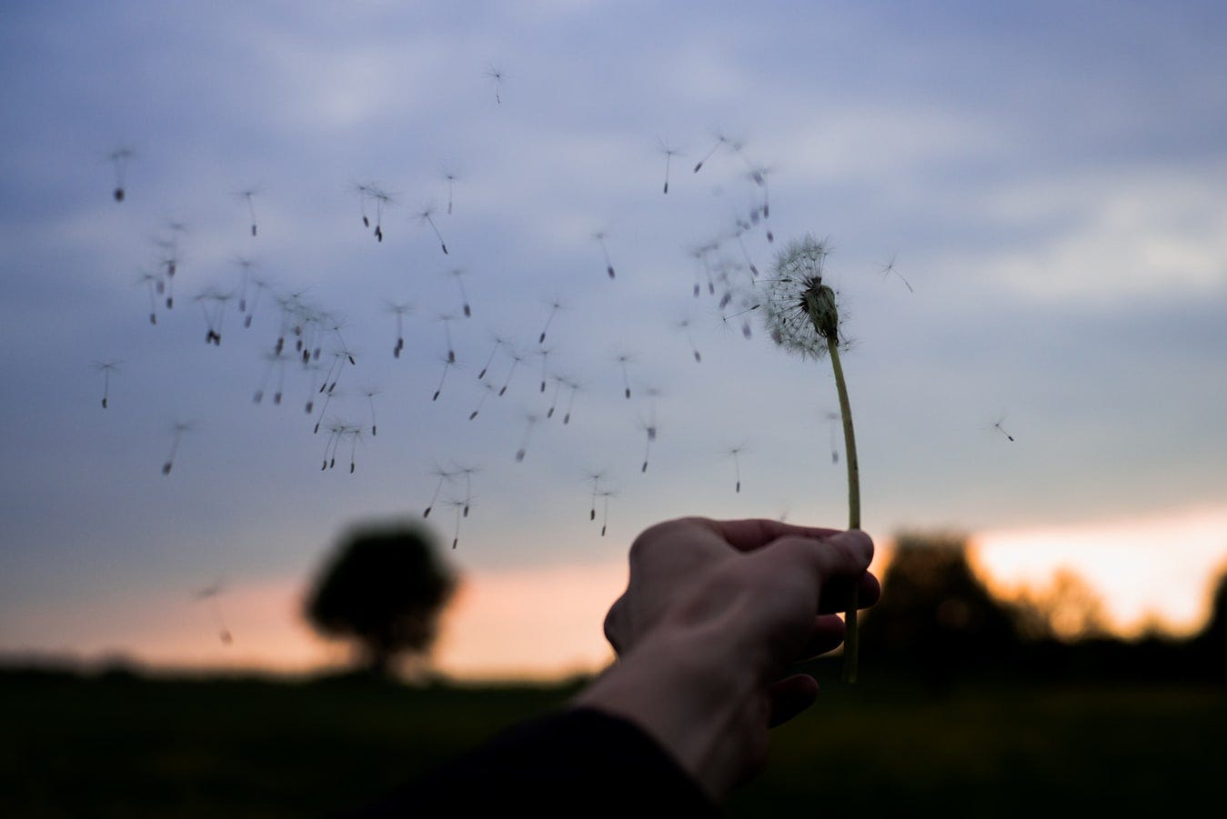 The Still, Small Voice